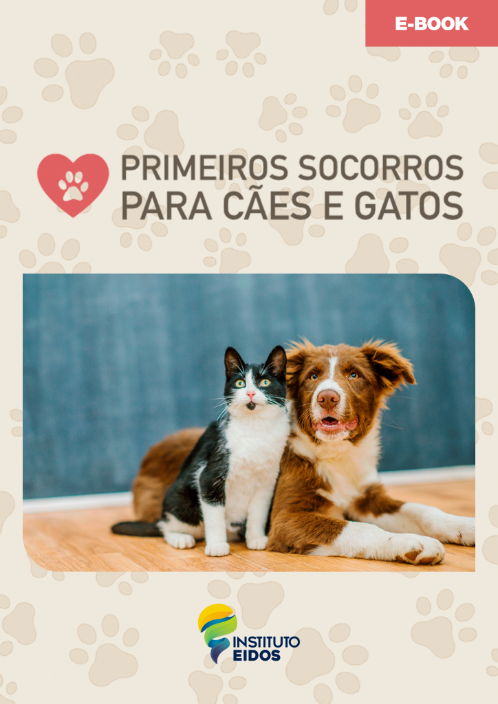 Curso de Primeiros Socorros para Cães e Gatos e bom confiavel