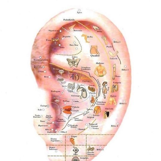 Curso Formação Completa em Auriculoterapia depoimentos reclame aqui