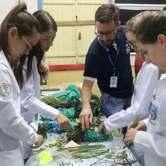 Curso Formação Completa em Fitoterapia e Plantas Medicinais funciona