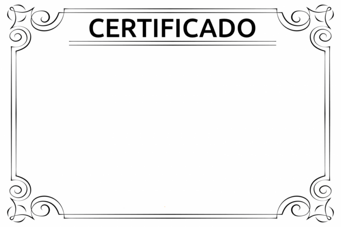 Curso da História do Cinema do Inácio Araújo certificado mec valido
