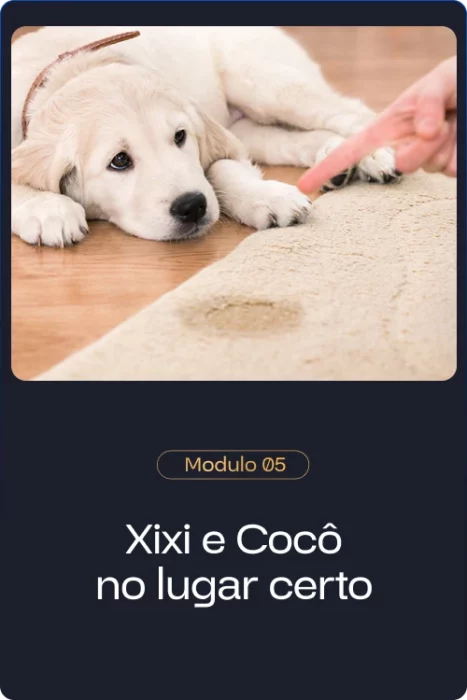 Método Cão Adestrado é bom